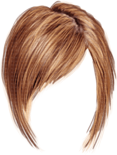 cheveux - png gratis