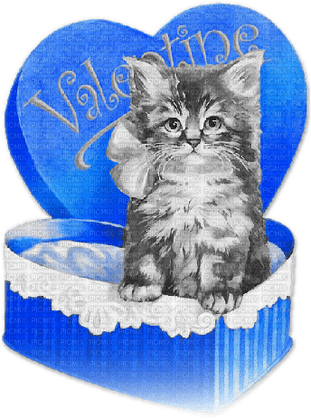 soave  vintage cat valentine deco box text gift - 免费PNG