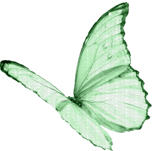 Schmetterling Butterfly - 無料png