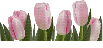 tube fleur - kostenlos png