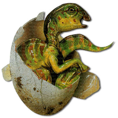 dinosaur - darmowe png