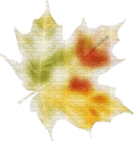 Кленовый листок - Безплатен анимиран GIF