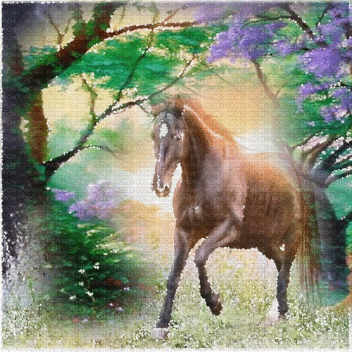 pferd horse milla1959 - 無料のアニメーション GIF