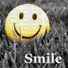 smile icon - Gratis animeret GIF