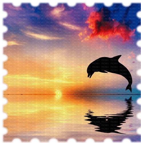 dolceluna summer sea dolphin  sun - PNG gratuit