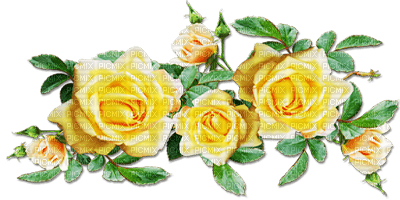 soave deco flowers spring branch rose - Free PNG