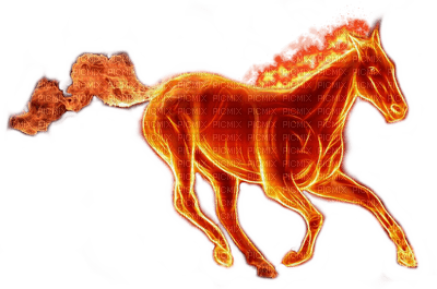 fire horse2 - PNG gratuit