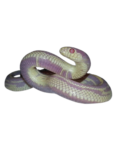 snake - gratis png