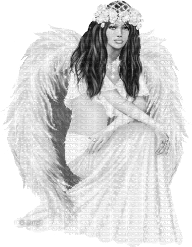 Y.A.M._Fantasy angel black-white - GIF เคลื่อนไหวฟรี