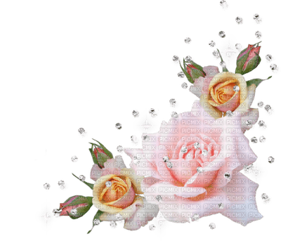 bordura Melly ruža - zdarma png