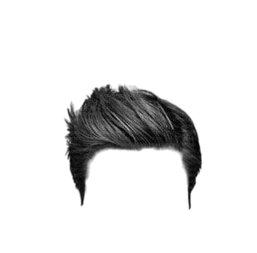 cheveux homme - zadarmo png