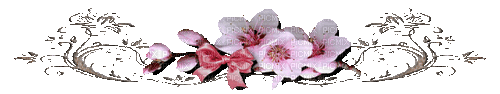 Flower Deco - GIF animado grátis