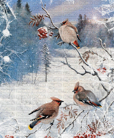 snow Christmas20- Nitsa - Ilmainen animoitu GIF