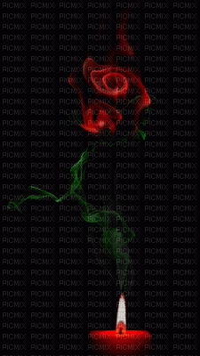 rose-NitsaPap - Besplatni animirani GIF