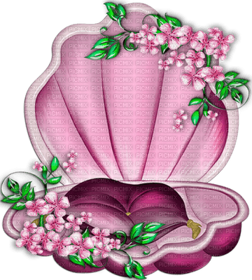 minou-pink-snäcka-shell-deco - darmowe png