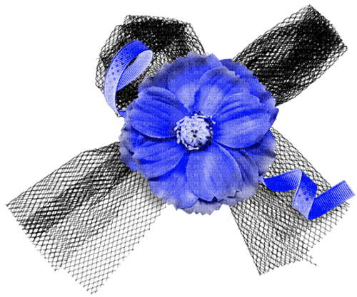 Flower.Bow.Ribbon.Black.Blue - PNG gratuit