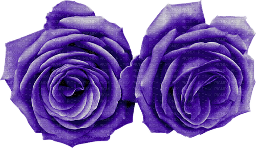 kikkapink purple flower deco - Free PNG