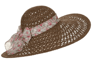 chapeau - darmowe png