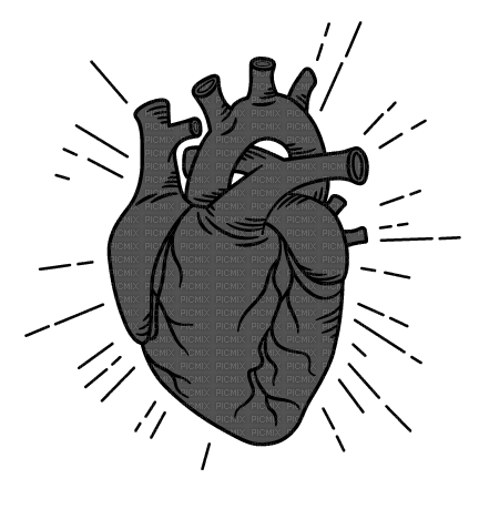Heart - Free PNG