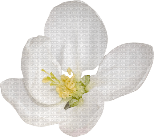 dolceluna deco flower white - ingyenes png