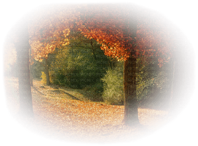 patymirabelle paysage automne - PNG gratuit