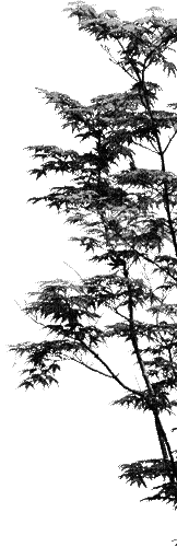 black white milla1959 - Bezmaksas animēts GIF