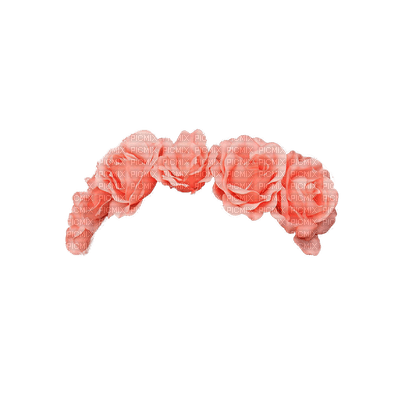fleurs couronne /rose/ HD - gratis png