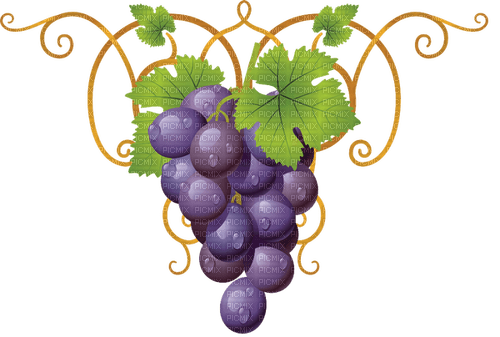 grapes   Bb2 - gratis png