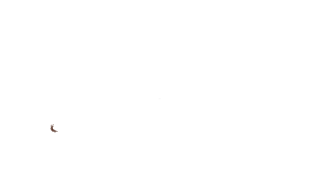 chocapic - Darmowy animowany GIF