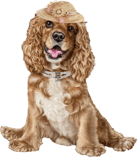 dog by nataliplus - Free PNG