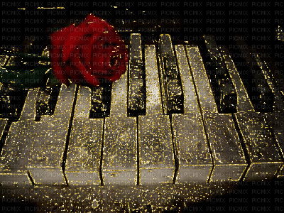 Rose rouge. - Free animated GIF