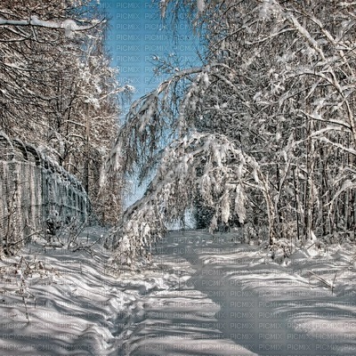 winter  background by nataliplus - bezmaksas png
