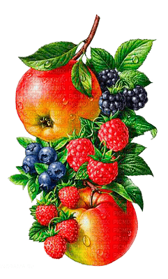 Y.A.M._Summer fruit decor - Free PNG