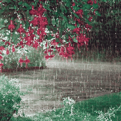 soave background animated tree flowers park rain - Animovaný GIF zadarmo