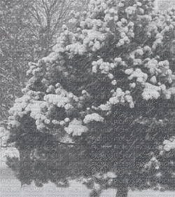Background Winter - Gratis animeret GIF