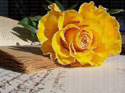Flores - Gratis geanimeerde GIF
