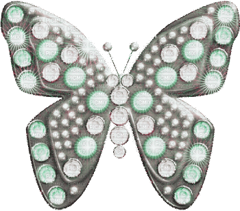 Y.A.M._jewelry butterfly - GIF เคลื่อนไหวฟรี