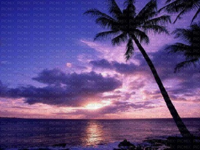 plaża,zachód słońca - PNG gratuit