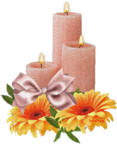 Kerzen, rosa, Blumen - Gratis animeret GIF