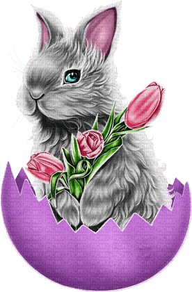 ostern easter milla1959 - png gratuito