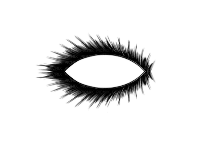 eyelashes anastasia - Free PNG