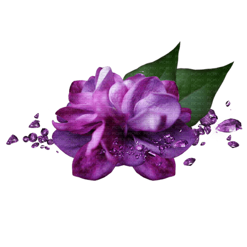 kikkapink gems gem purple flowers - darmowe png
