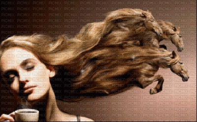 cabellos al viento - 免费动画 GIF