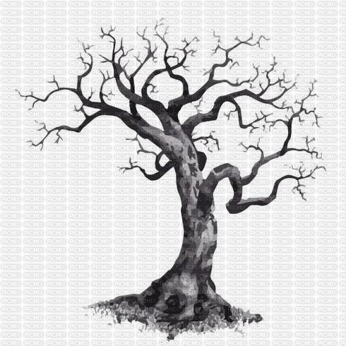 arbre mort - безплатен png
