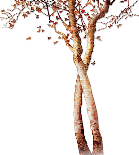soave deco autumn tree brown orange - δωρεάν png