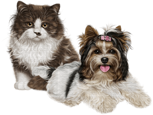 loly33 chien chat - 免费PNG