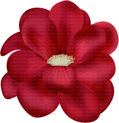 red flower 2 - PNG gratuit