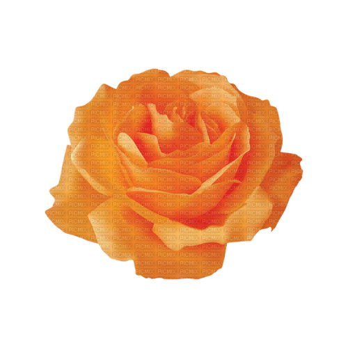 kikkapink deco scrap orange rose - gratis png