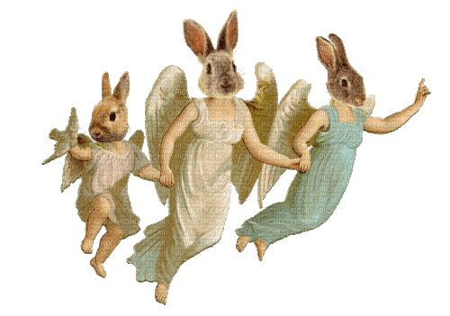 angel bunnies - GIF animado gratis