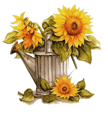 Sunflowers - 無料png